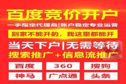 探索百度广告竞价的奥秘：某行业领先企业的投放经验